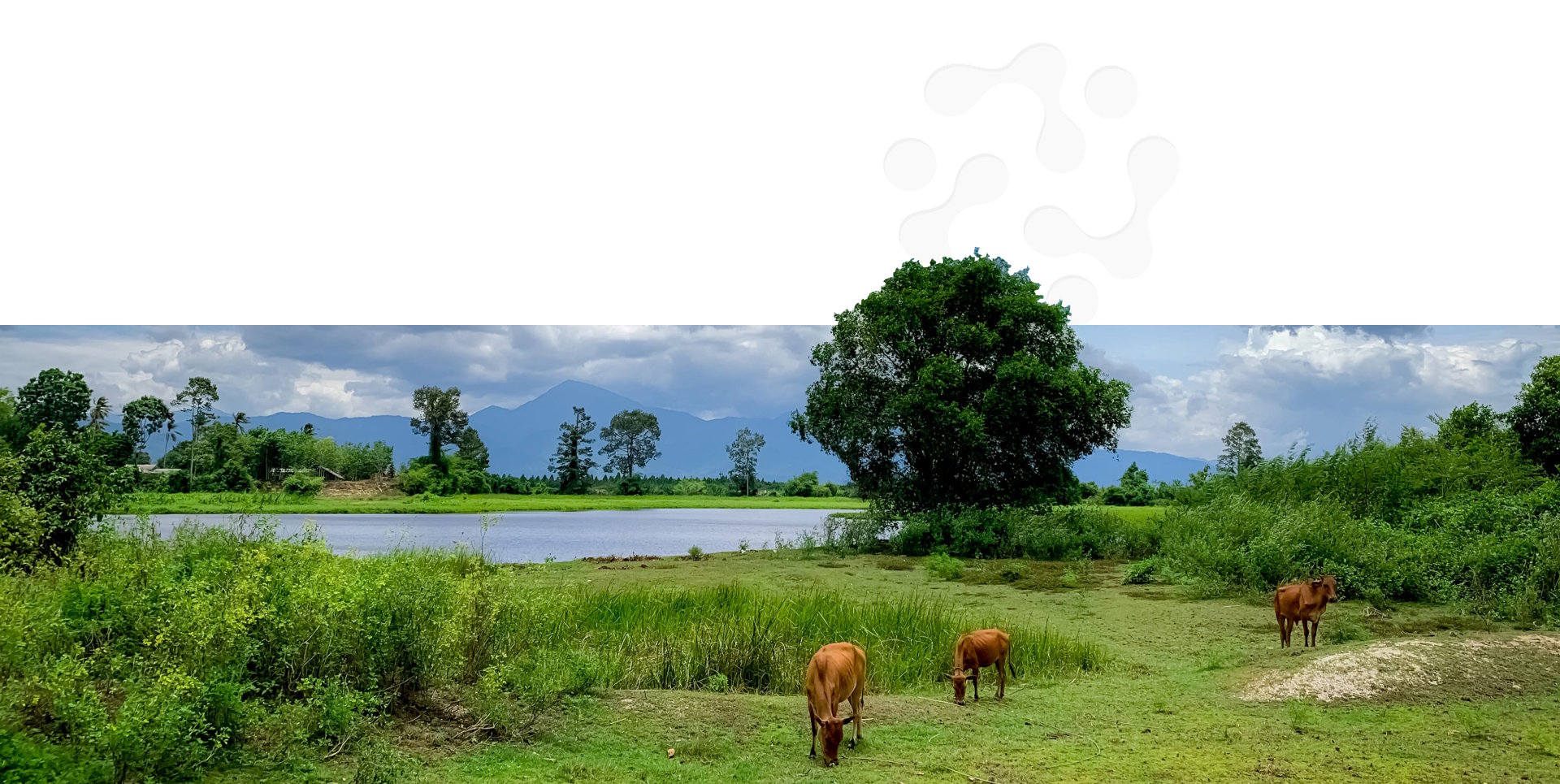 Agrovia Eco Bio Sdn. Bhd.