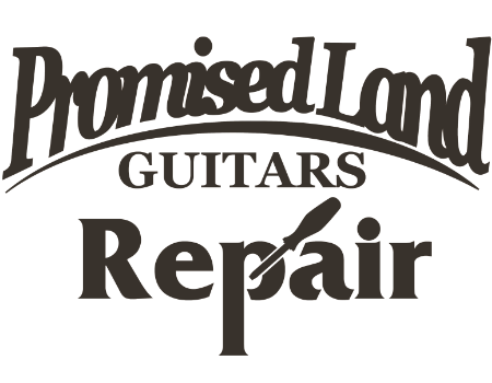 Promised Land Guitar