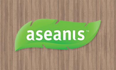 Aseanis | Website Design Johor Bahru