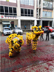 Webteq Official Grand Opening 2020