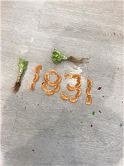 Webteq Official Grand Opening 2020