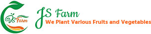 集盛農場台湾水果园 Fruits Supply Johor Bahru